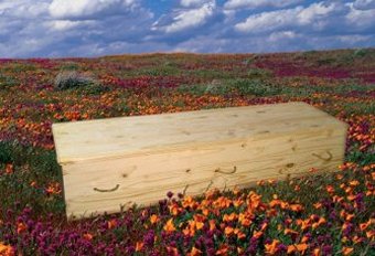 This is our solid pine wood casket which is perfect for eco-friendly Woodland burials and cremations